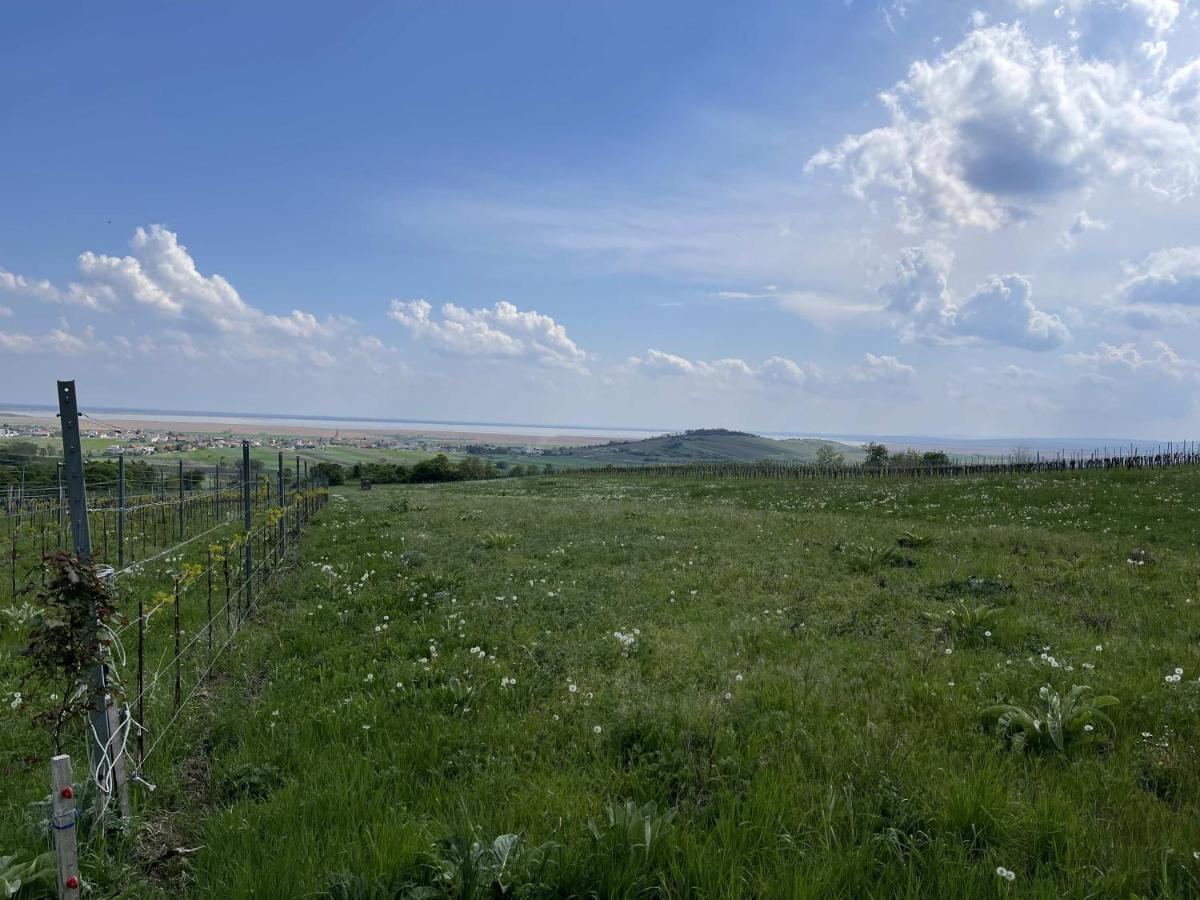Apartmán Schlafen In Der Winzerie Jois Exteriér fotografie